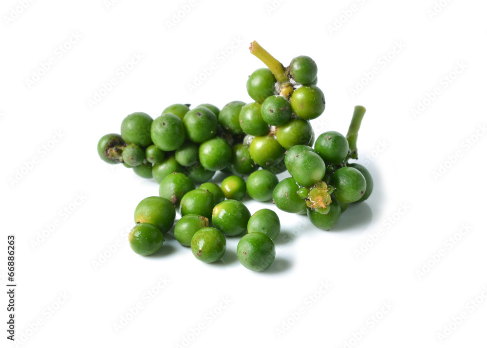 fresh green pepper on white background fresh green pepper on white background