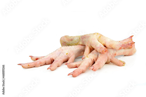 Chicken feet on white background