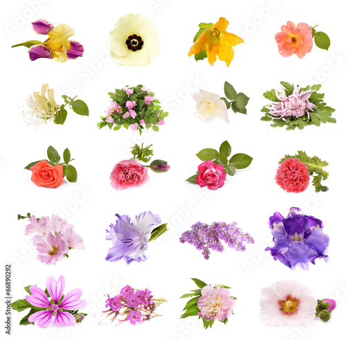 Fototapeta Naklejka Na Ścianę i Meble -  Collage of beautiful spring flowers , isolated on white