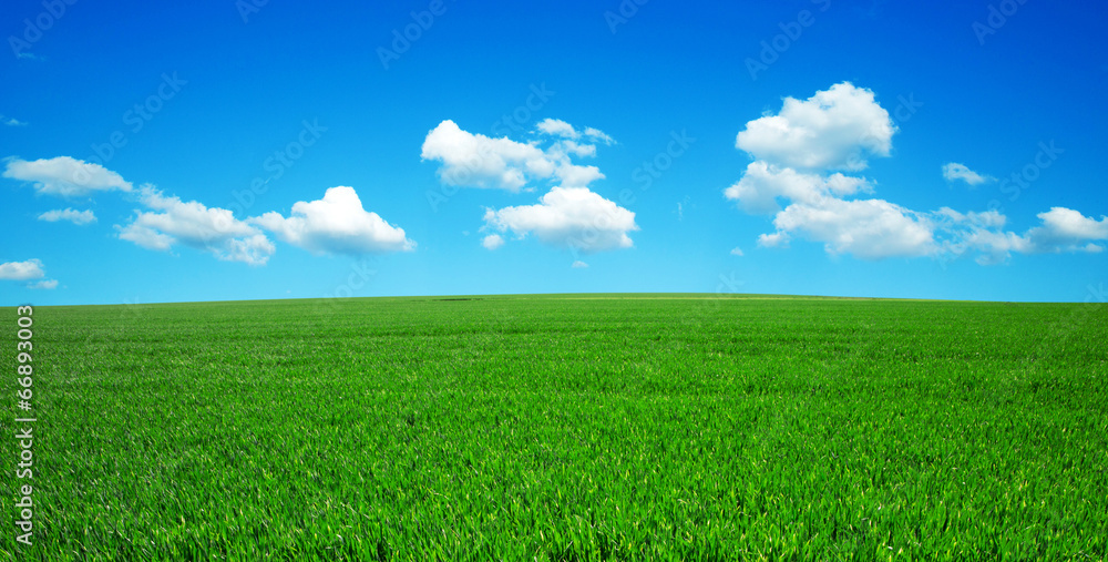 green field green field