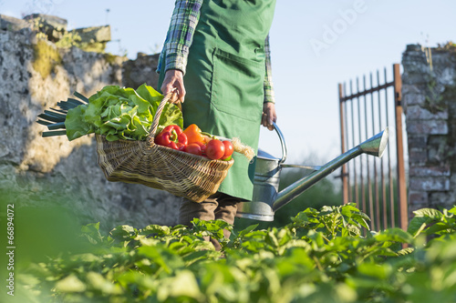 Un jardinier porte un panier de légumes dans son jardin photo