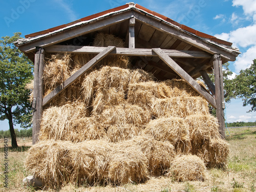 Obraz w ramie Wooden barn