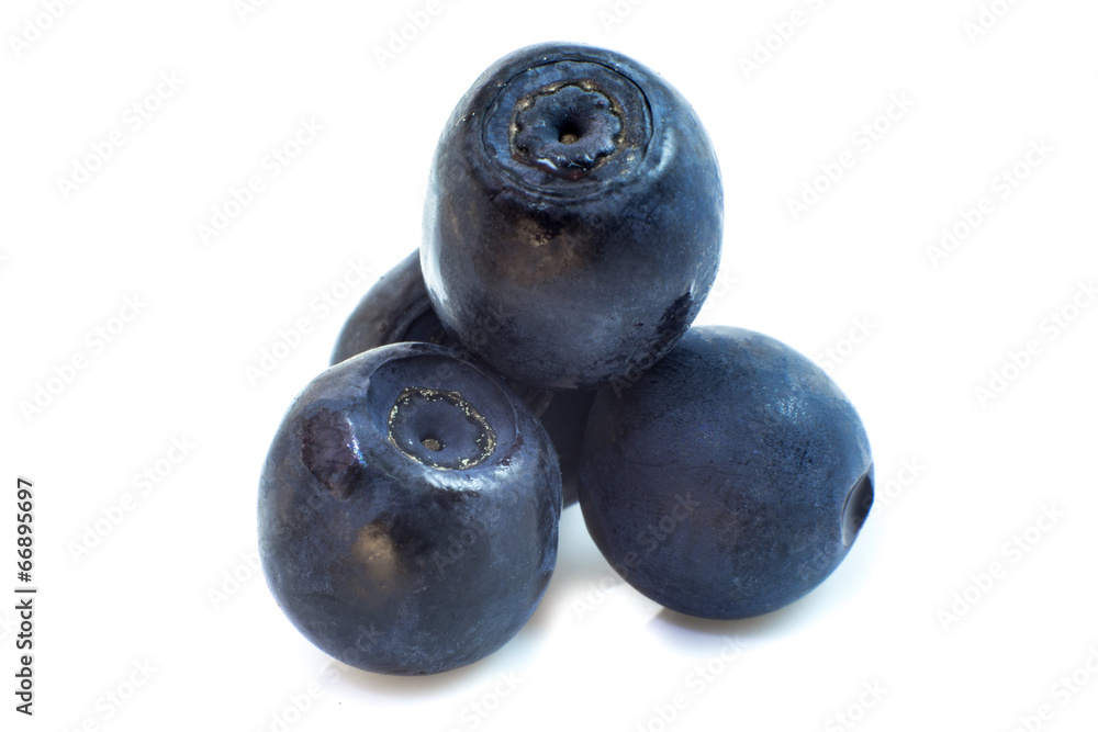 Several wild blueberries isolated on white macro. Several wild blueberries isolated on white macro.