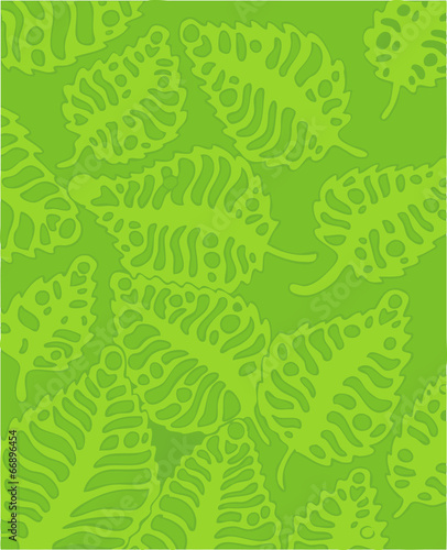 foliage vector illustration, hand-drawing