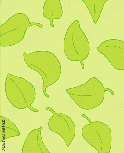 foliage vector illustration, hand-drawing