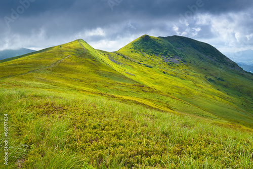Carpathian Mountains grass meadow landscape