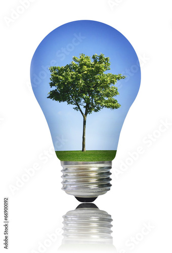 Light bulb with tree