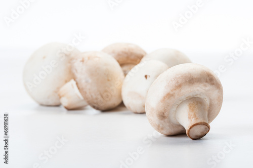 Closeup of champignon mushroom.