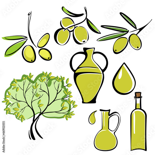 olive and olive oil  icon  set vector  illustration