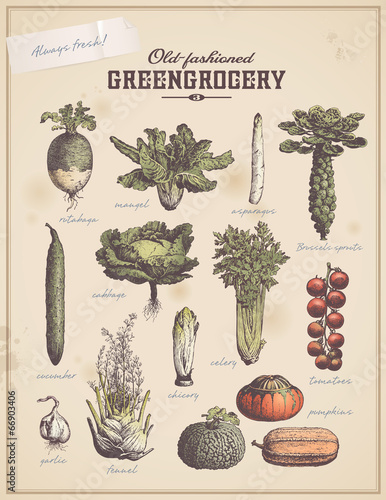 Dekoracja na wymiar  greengrocery-3-set-of-vegetable-illustrations