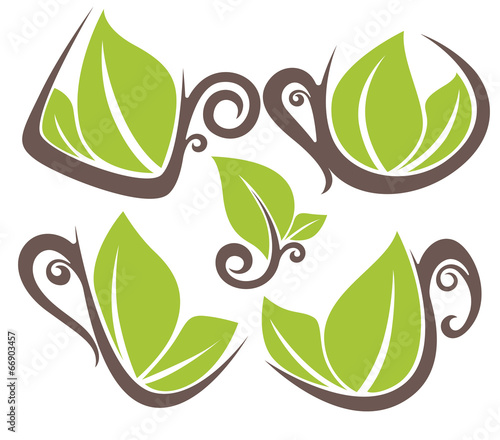 natural drinks and fresh green leaves