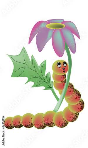 caterpillar_and_flower