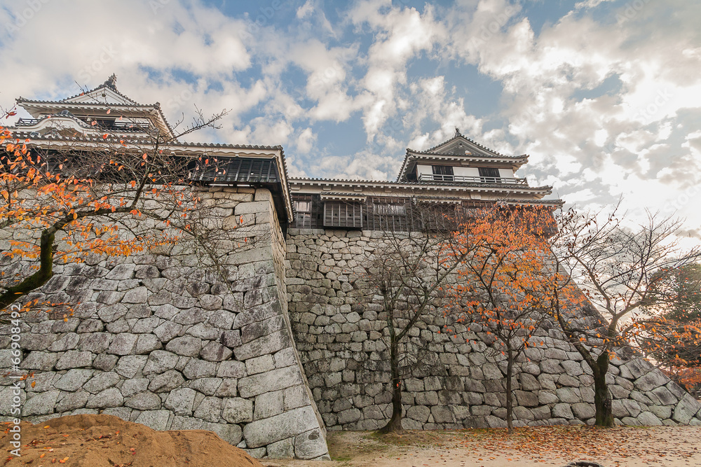 松山城の櫓と石垣