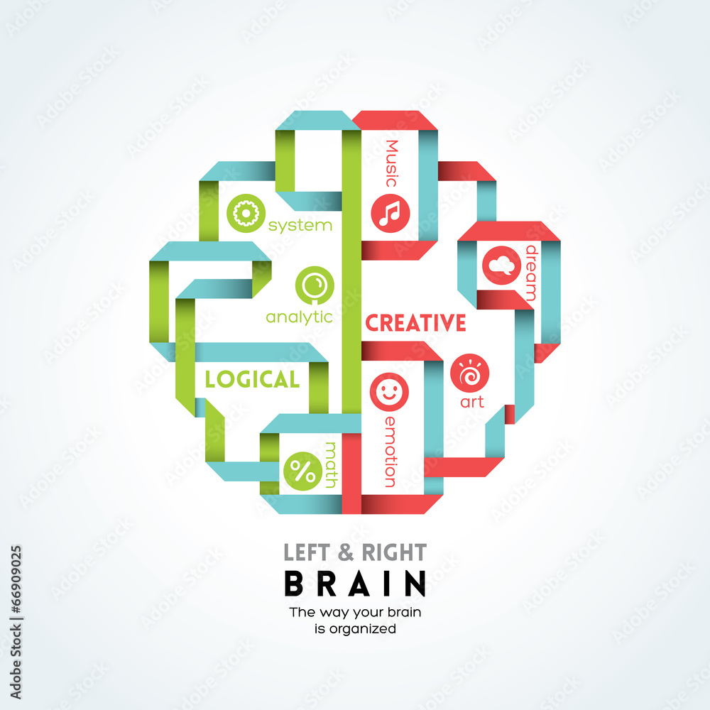 left and right brain function illustration left and right brain function illustration
