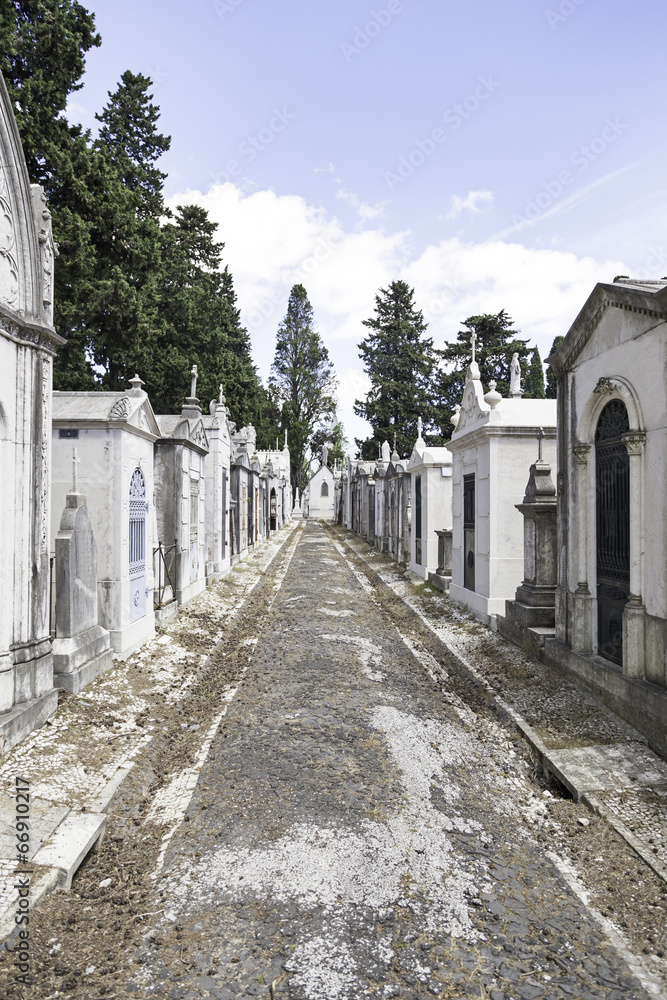 Old cemetery in the city of Lisbon
