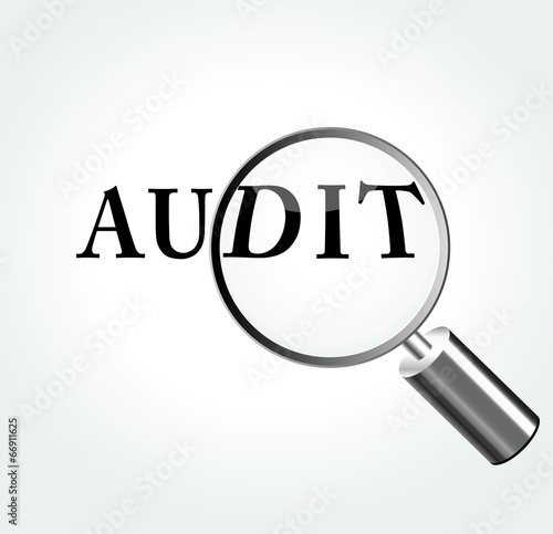 Vector audit theme illustration