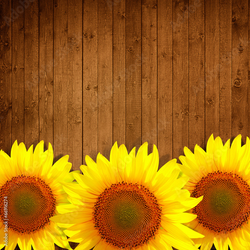 Fototapeta Naklejka Na Ścianę i Meble -  sunflower leaning on natural wooden background