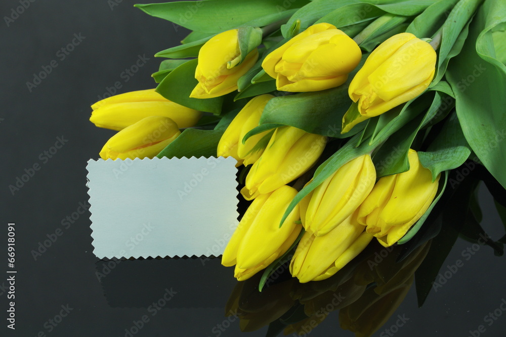 Fototapeta premium tulipany z dedykacją