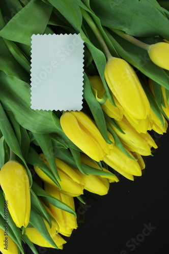 tulipany z dedykacją