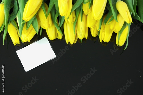 Obraz na płótnie tulipany z dedykacją