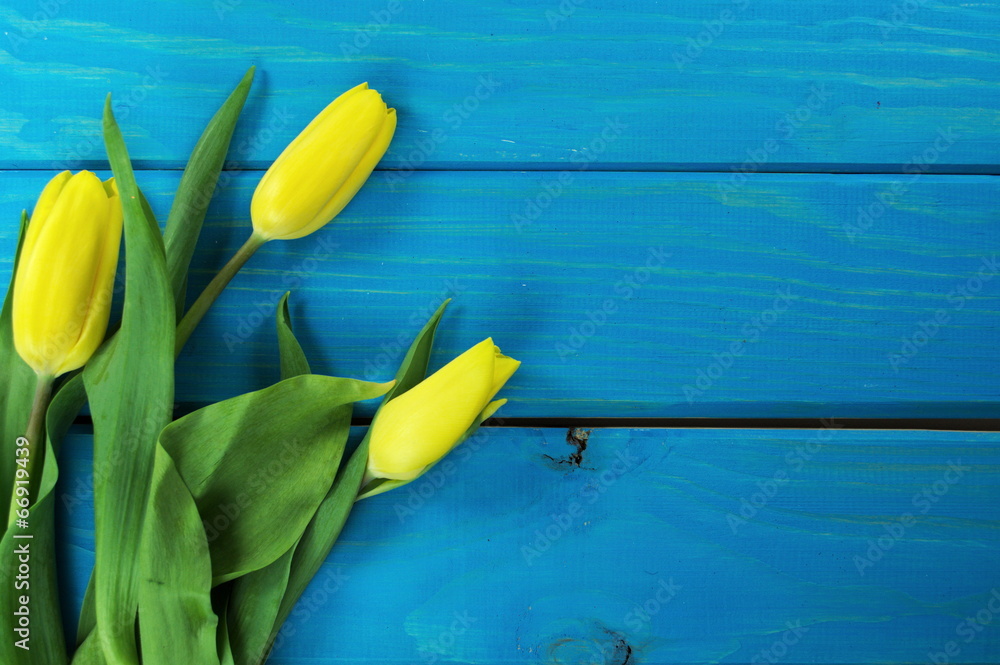 Obraz premium tulipany żółty