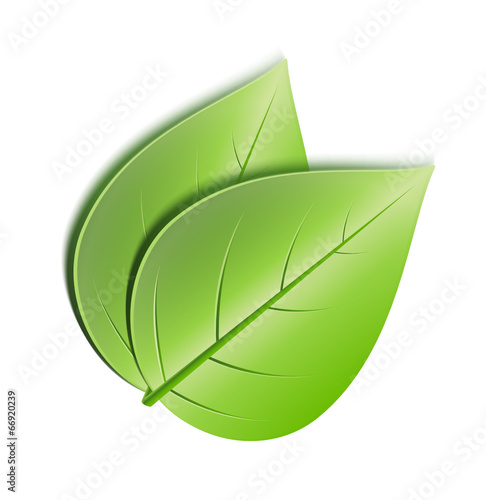 zwei überlappende blätter
