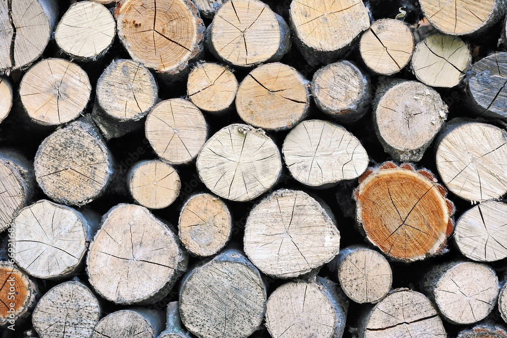 Stacked log background from natural tree timber Stacked log background from natural tree timber