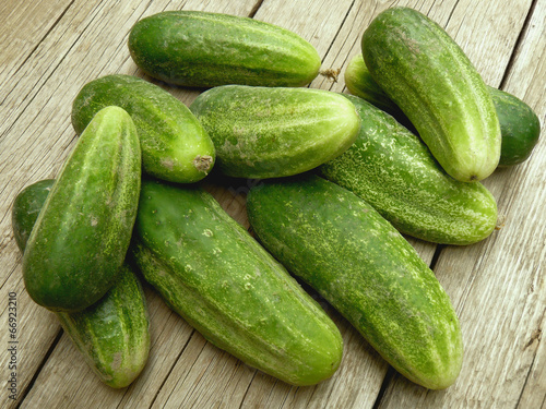 fresh harvested cucumbers