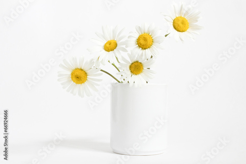 Fototapeta Naklejka Na Ścianę i Meble -  chamomile flower in a mug on a white background