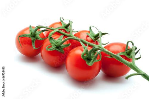 Красные помидоры помидор