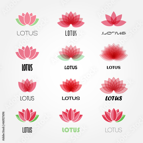 Vector lotus flowers design for spa, resort