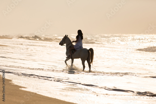 young woman horse ride in the water