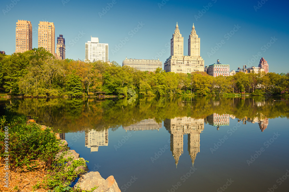 Central park at sunny day