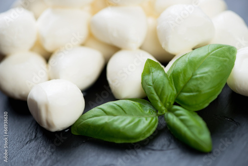 Close-up of mozzarella cheese with basil leaves, studio shot