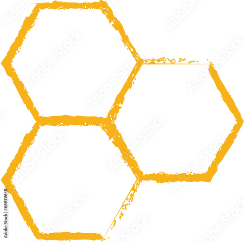 bee comb icon vector