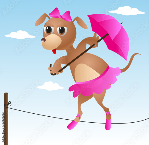 cagnolina equilibrista