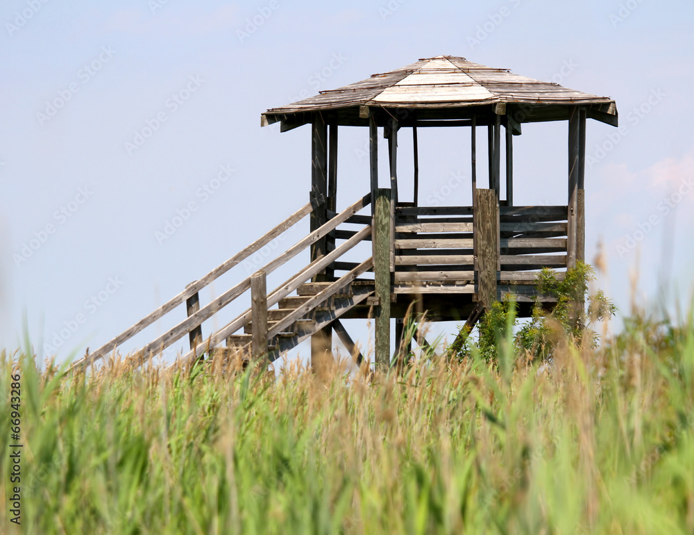 hut for bird watching and bird life in the midst of the reeds in