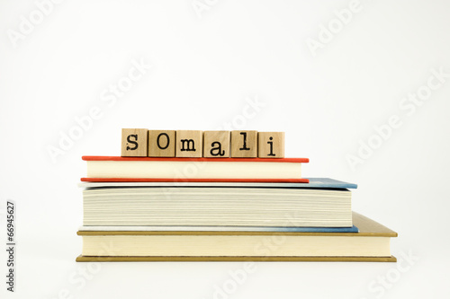 Bilde på lerret somali language word on wood stamps and books