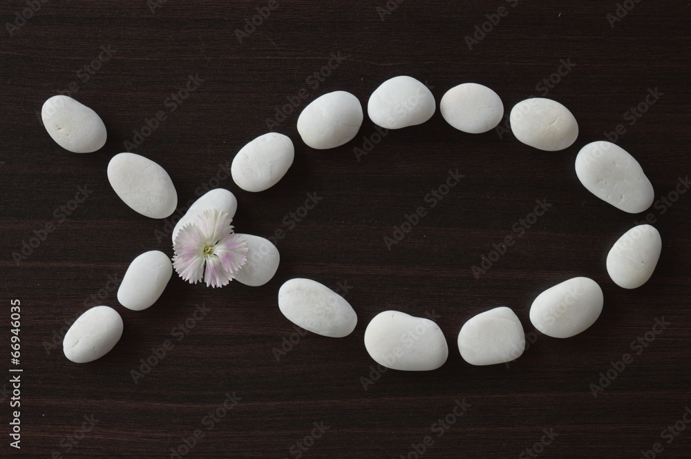 Obraz premium Fish symbol