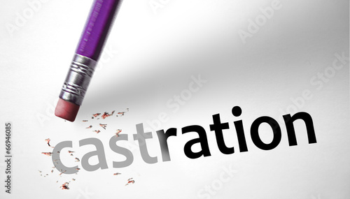 Eraser deleting the word Castration photo