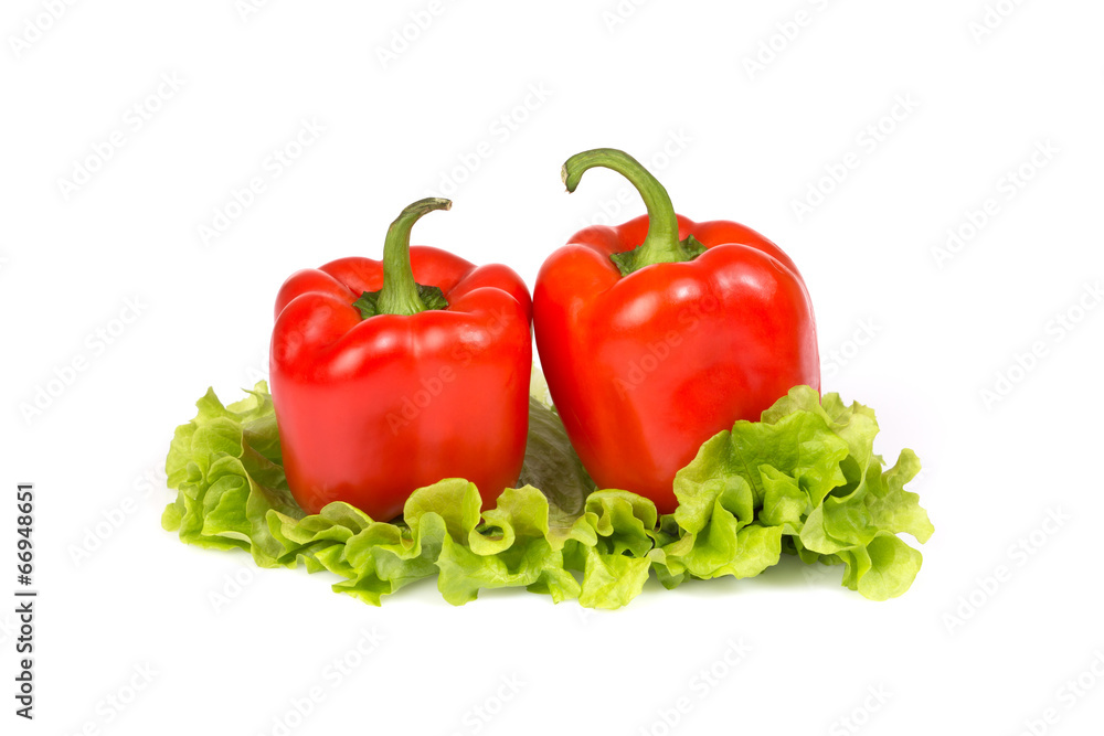 Two fresh paprika on a salad leaf.