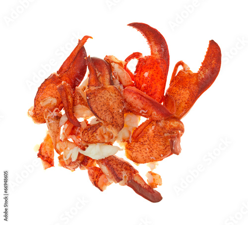 Group of cooked lobster pieces