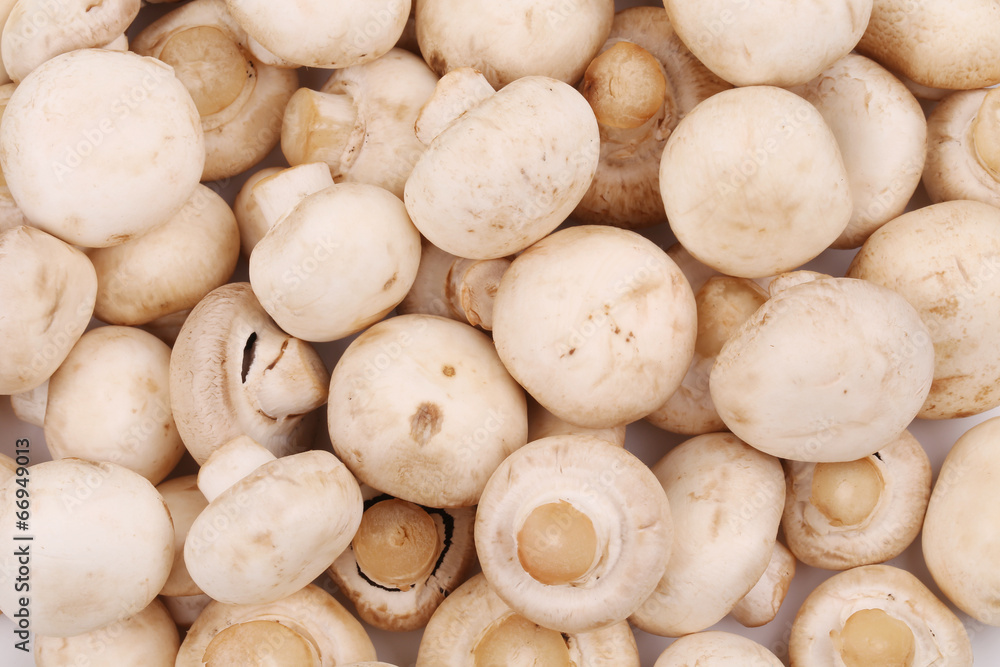 Closeup of fresh tasty champignon mushrooms. Closeup of fresh tasty champignon mushrooms.