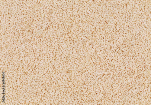 Close up of sesame seeds.