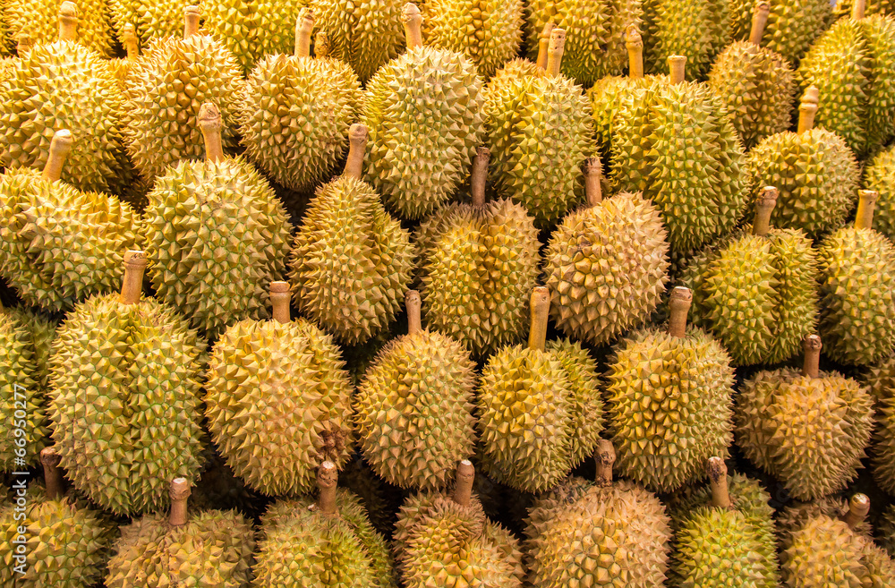 Durian fruit in the market Durian fruit in the market