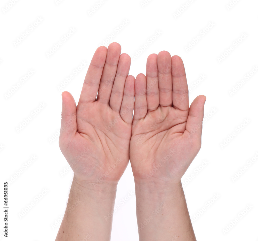 Open palm hands gesture of male hand. Open palm hands gesture of male hand.