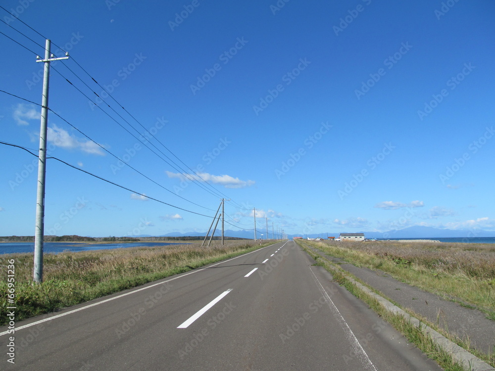 Fototapeta premium 北海道の道