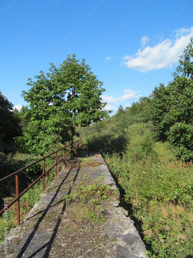 Fototapeta premium 北海道の廃止駅