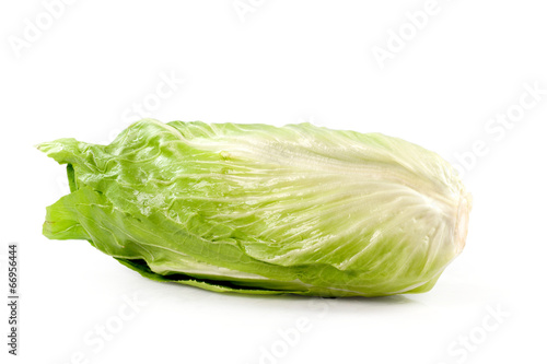 Foto radicchio pan di zucchero