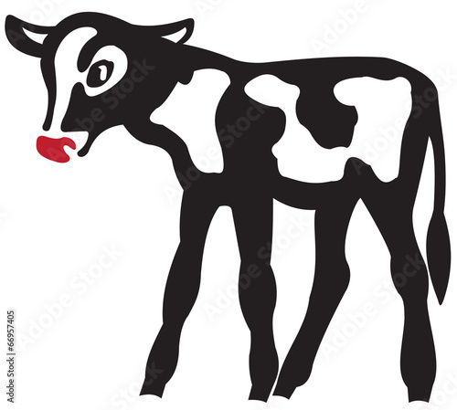 The calf